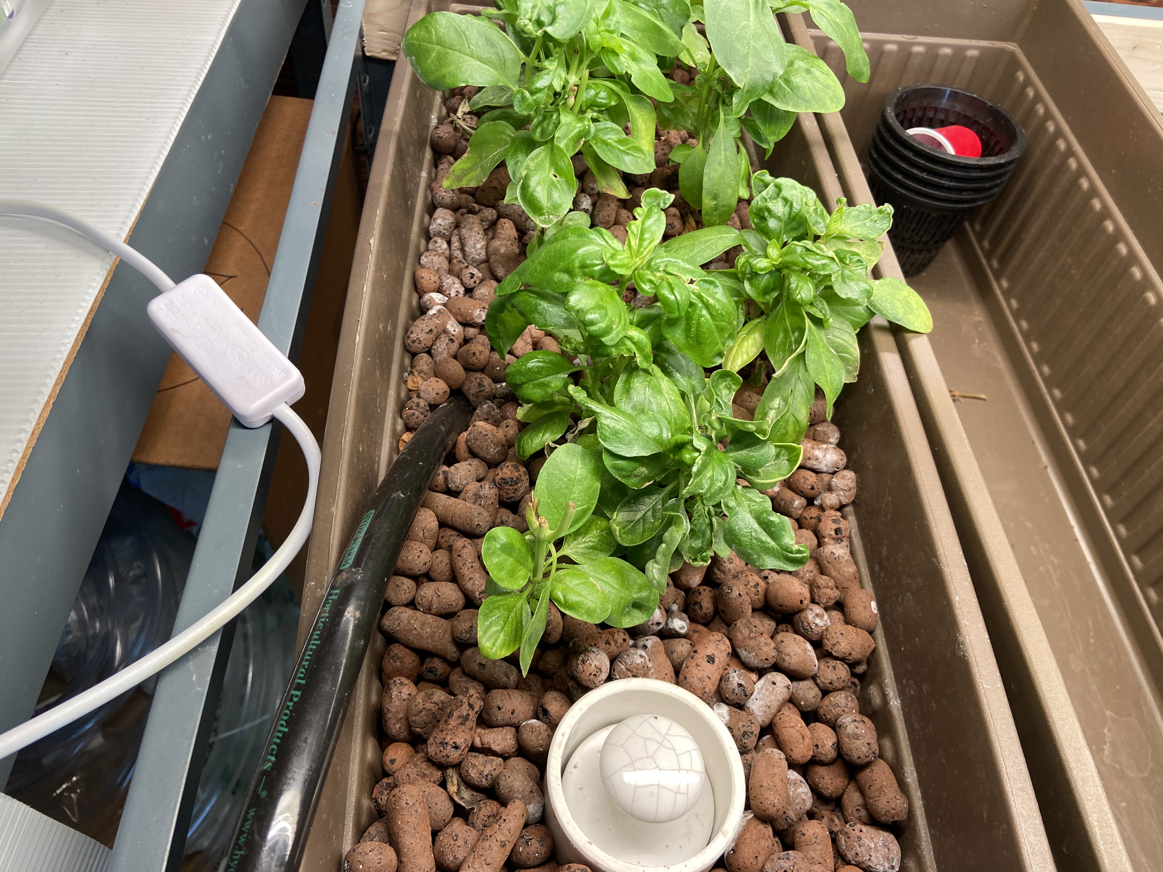 The Power of Systems Thinking in Indoor Farming: The Case of Basil​